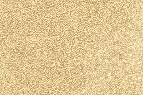 Tiburon Shagreen | Evans & Brown for Koroseal
